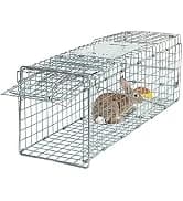 68-Inch Birdcage — Playtop Parrot Cage — collection imagery