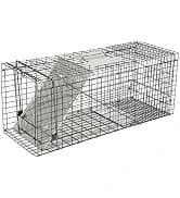 68-Inch Birdcage — Playtop Parrot Cage — collection imagery