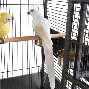Large Budgie Cage Metal Bird Cage with Stand Rolling Parrot Cage for Cockatiels African Grey Conures Parakeets — collection imagery