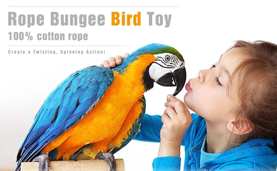 Rope Bungee Bird Toy — Small — Bird Perch — Rope Bungee Bird Toy