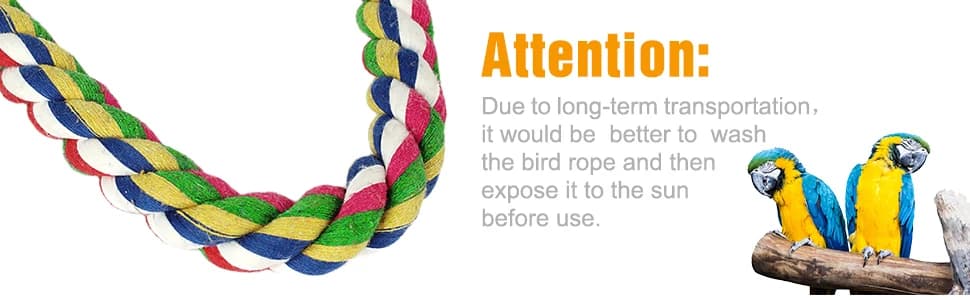 Rope Bungee Bird Toy — Small — collection imagery