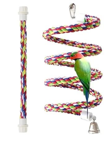 Rope Bungee Bird Toy — Small — collection imagery