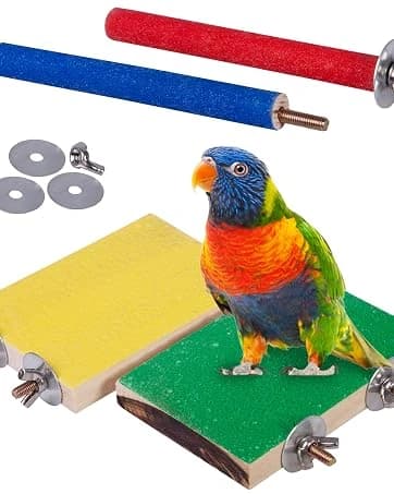Rope Bungee Bird Toy — Small — collection imagery