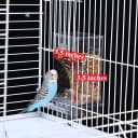 No Mess Bird Feeders Water Dispenser Set — Automatic Feeders for Cage