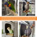 Bird Heater — Thermostatical Bird Warmer for Parakeets