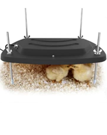 Bird Heater — Thermostatical Bird Warmer for Parakeets — collection imagery