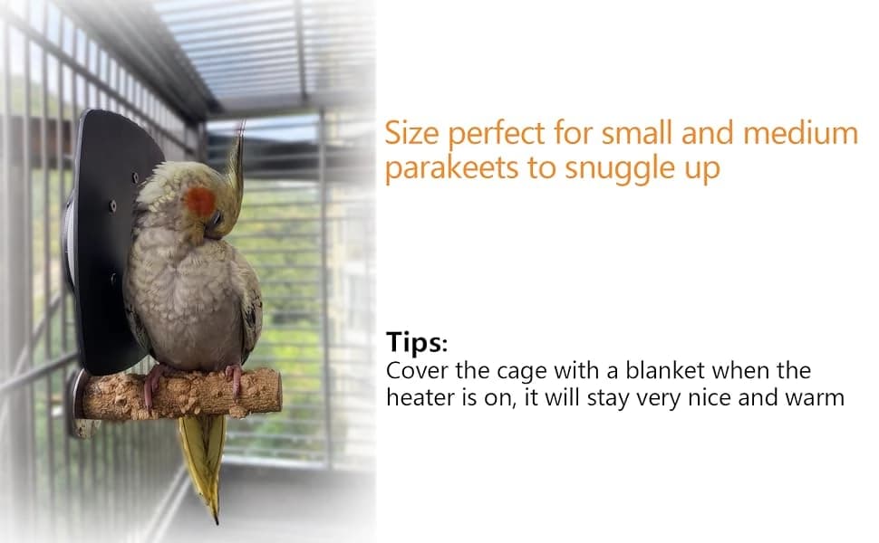 Bird Heater — Thermostatical Bird Warmer for Parakeets — Place the warmer next to a perch — so your pet birds can snuggle up for warmth