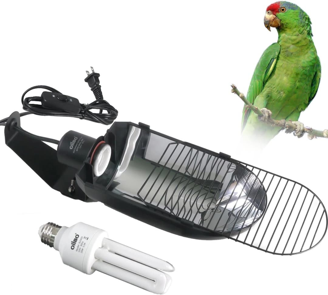 Bird Cage Light Fixture Combo Kit
