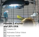 Bird Cage Light Fixture Combo Kit