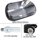 Bird Cage Light Fixture Combo Kit