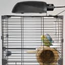 Bird Cage Light Fixture Combo Kit