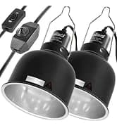 Bird Cage Light Fixture Combo Kit — collection imagery