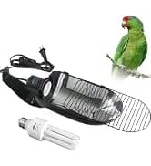 Bird Cage Light Fixture Combo Kit — collection imagery
