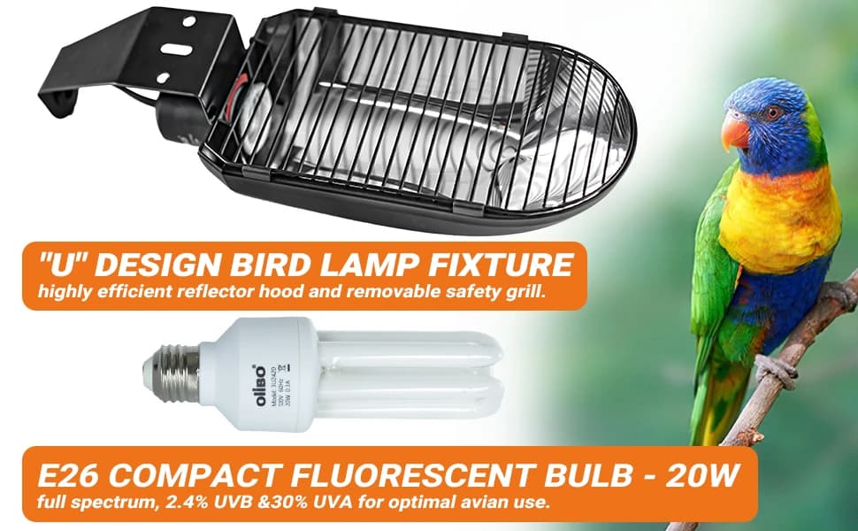 Bird Cage Light Fixture Combo Kit — product details