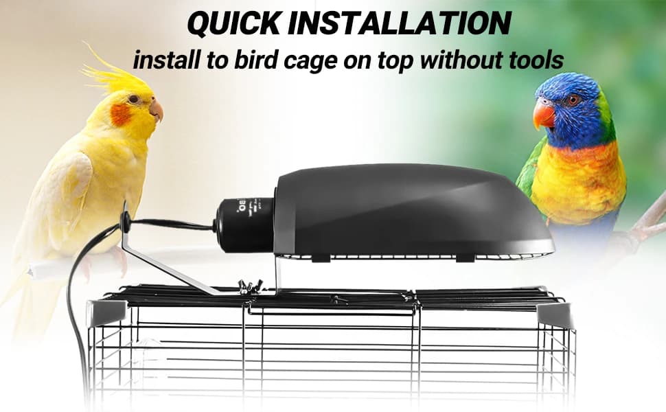 Bird Cage Light Fixture Combo Kit — Correct installation of the UVB bird cage light