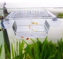 Fish Breeding Box — Acrylic Fish Isolation Box with Suction Cups