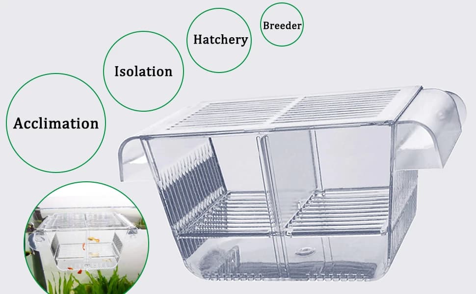 Fish Breeding Box — Acrylic Fish Isolation Box with Suction Cups — product details