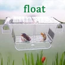 Fish Breeding Box — Acrylic Fish Isolation Box with Suction Cups — product details