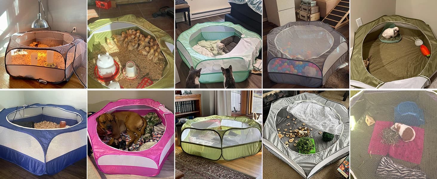 Small Animal Playpen with Zippered Cover — collection imagery