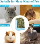 Rabbit Hay Feeder — Large Capacity Bunny Hay Rack for Rabbits