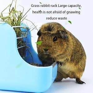 Rabbit Hay Feeder — Large Capacity Bunny Hay Rack for Rabbits — collection imagery