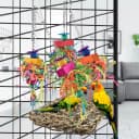 Bird Toys — Grass Swing Hammock Climbing Toy for Parrot Parakeet