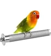 Bird Toys — Grass Swing Hammock Climbing Toy for Parrot Parakeet — collection imagery