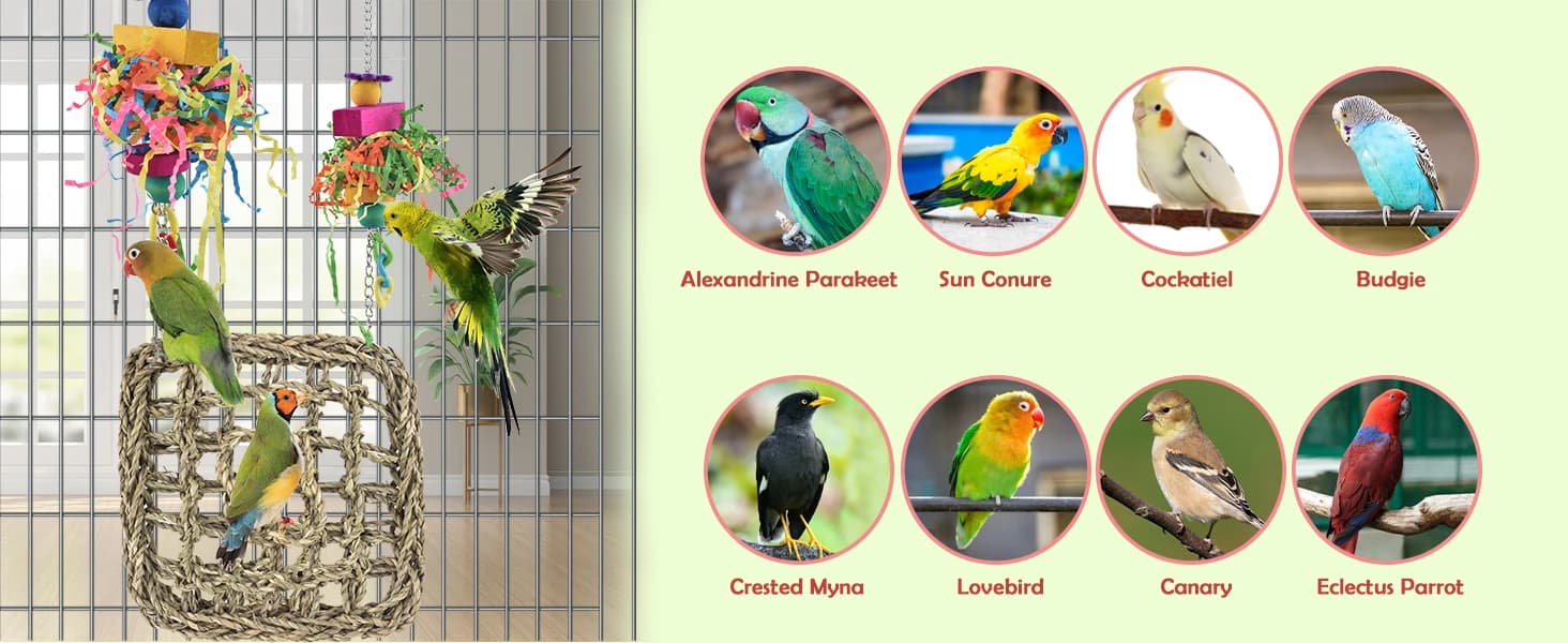 Bird Toys — Grass Swing Hammock Climbing Toy for Parrot Parakeet — Perfect for Small/Medium Birds