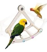 Parrot Bathtub Bird Automatic Bath Shower — collection imagery