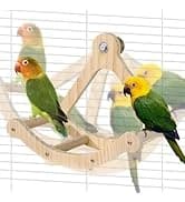 Parrot Bathtub Bird Automatic Bath Shower — collection imagery