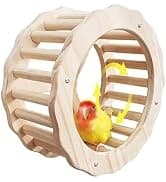 Parrot Bathtub Bird Automatic Bath Shower — collection imagery