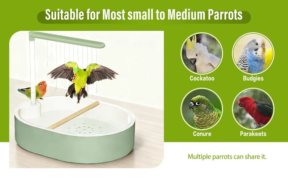 Parrot Bathtub Bird Automatic Bath Shower — Please check the bathtub dimensions before purchasing
