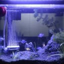 T60 Nano Aquarium Air Stone Kit — Quiet Bubble Diffuser
