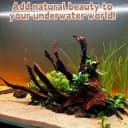 Natural Driftwood for Aquarium Decor Fish Tank Decorations Reptile Decor Driftwood Decor — 3 Pieces 7"-11"