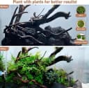 Natural Driftwood for Aquarium Decor Fish Tank Decorations Reptile Decor Driftwood Decor — 3 Pieces 7"-11"