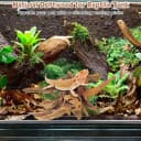 Natural Driftwood for Aquarium Decor Fish Tank Decorations Reptile Decor Driftwood Decor — 3 Pieces 7"-11"