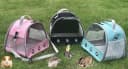 Guinea Pig Carrier Backpack — Clear Bubble Window Backpack for Guinea Pig