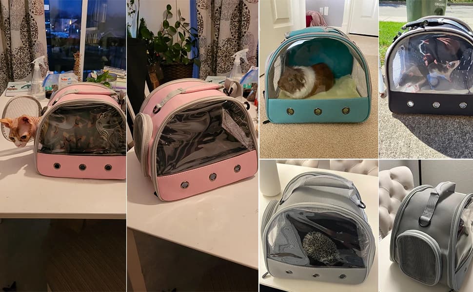 Guinea Pig Carrier Backpack — Clear Bubble Window Backpack for Guinea Pig — product details