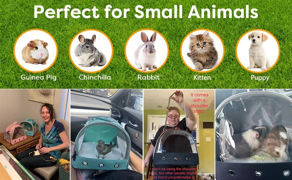 Guinea Pig Carrier Backpack — Clear Bubble Window Backpack for Guinea Pig — product details