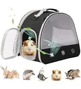 Guinea Pig Carrier Backpack — Clear Bubble Window Backpack for Guinea Pig — collection imagery
