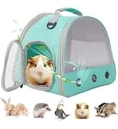 Guinea Pig Carrier Backpack — Clear Bubble Window Backpack for Guinea Pig — collection imagery