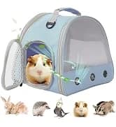 Guinea Pig Carrier Backpack — Clear Bubble Window Backpack for Guinea Pig — collection imagery