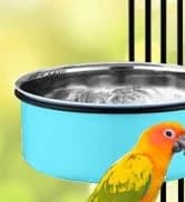 Bird Feeding Dish Cups Parrot Food Bowl Clamp Holder Coop Cup — 2PCS Bird Cage Water Bowl for Parakeet African — collection imagery