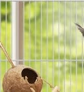 Bird Feeding Dish Cups Parrot Food Bowl Clamp Holder Coop Cup — 2PCS Bird Cage Water Bowl for Parakeet African — collection imagery