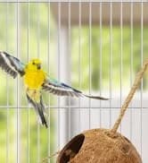 Bird Feeding Dish Cups Parrot Food Bowl Clamp Holder Coop Cup — 2PCS Bird Cage Water Bowl for Parakeet African — collection imagery