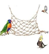 Bird Feeding Dish Cups Parrot Food Bowl Clamp Holder Coop Cup — 2PCS Bird Cage Water Bowl for Parakeet African — collection imagery