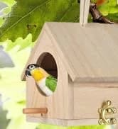 Bird Feeding Dish Cups Parrot Food Bowl Clamp Holder Coop Cup — 2PCS Bird Cage Water Bowl for Parakeet African — collection imagery