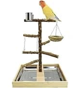 Bird Feeding Dish Cups Parrot Food Bowl Clamp Holder Coop Cup — 2PCS Bird Cage Water Bowl for Parakeet African — collection imagery