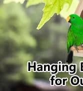 Bird Feeding Dish Cups Parrot Food Bowl Clamp Holder Coop Cup — 2PCS Bird Cage Water Bowl for Parakeet African — collection imagery
