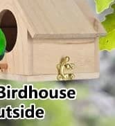 Bird Feeding Dish Cups Parrot Food Bowl Clamp Holder Coop Cup — 2PCS Bird Cage Water Bowl for Parakeet African — collection imagery